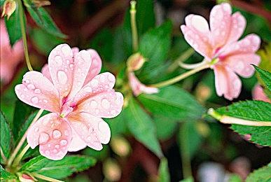 傲娇工作室《霓虹人生》Steam页面上线 上线日期待定